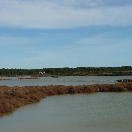 La Golondrina
